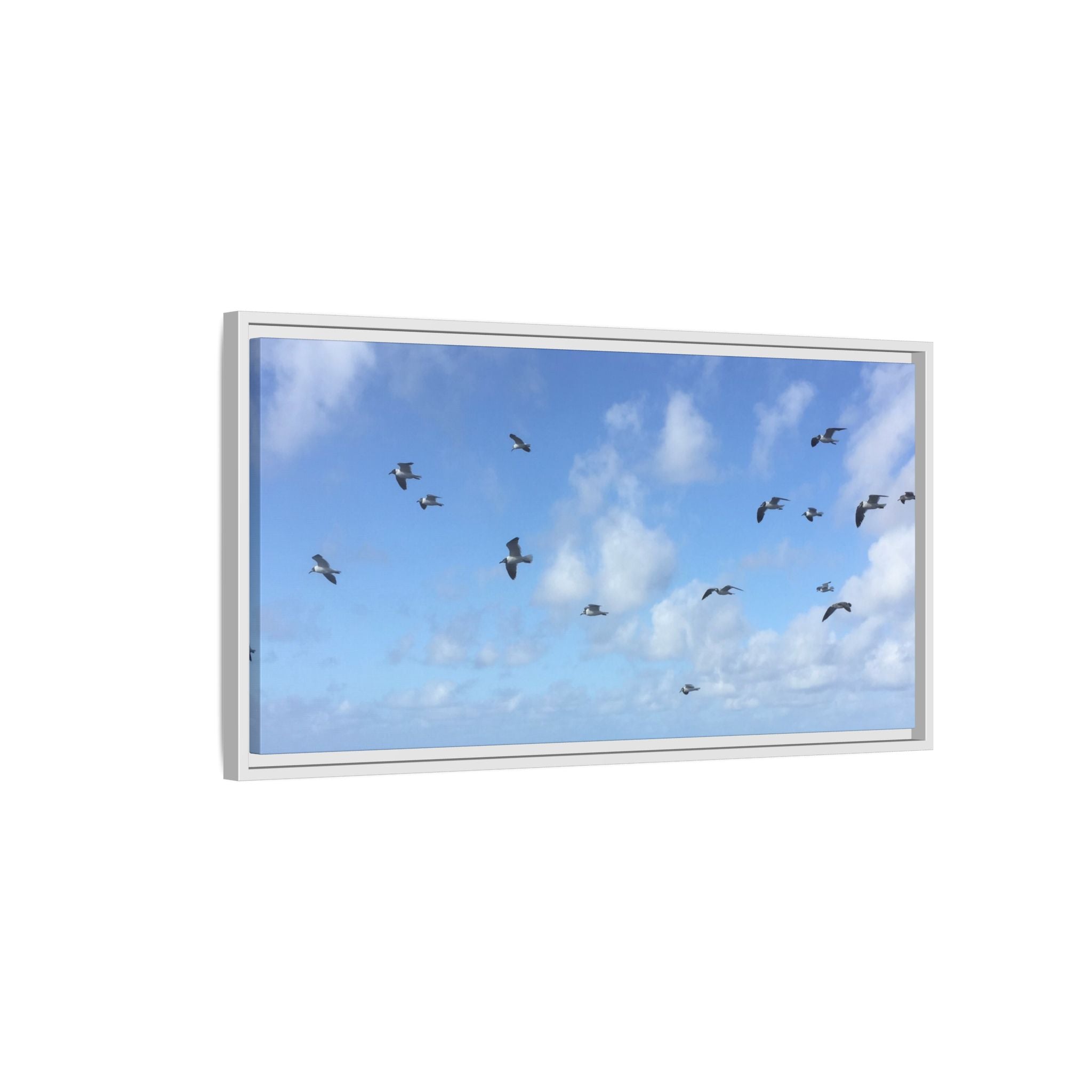 Framed Canvas Print — Gulls Flying Over Sky